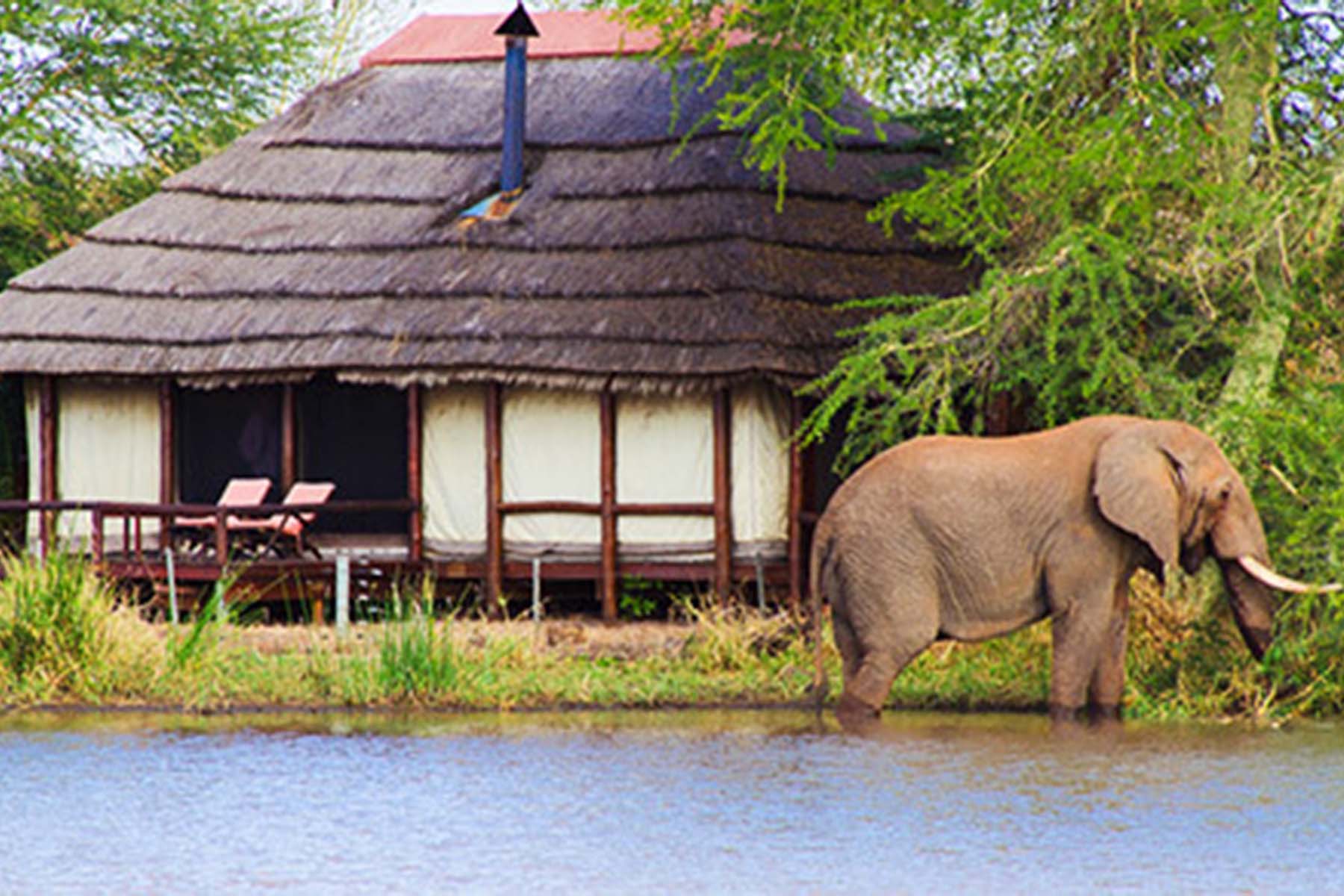 SanParks – Free Entry For A Week | Travel News