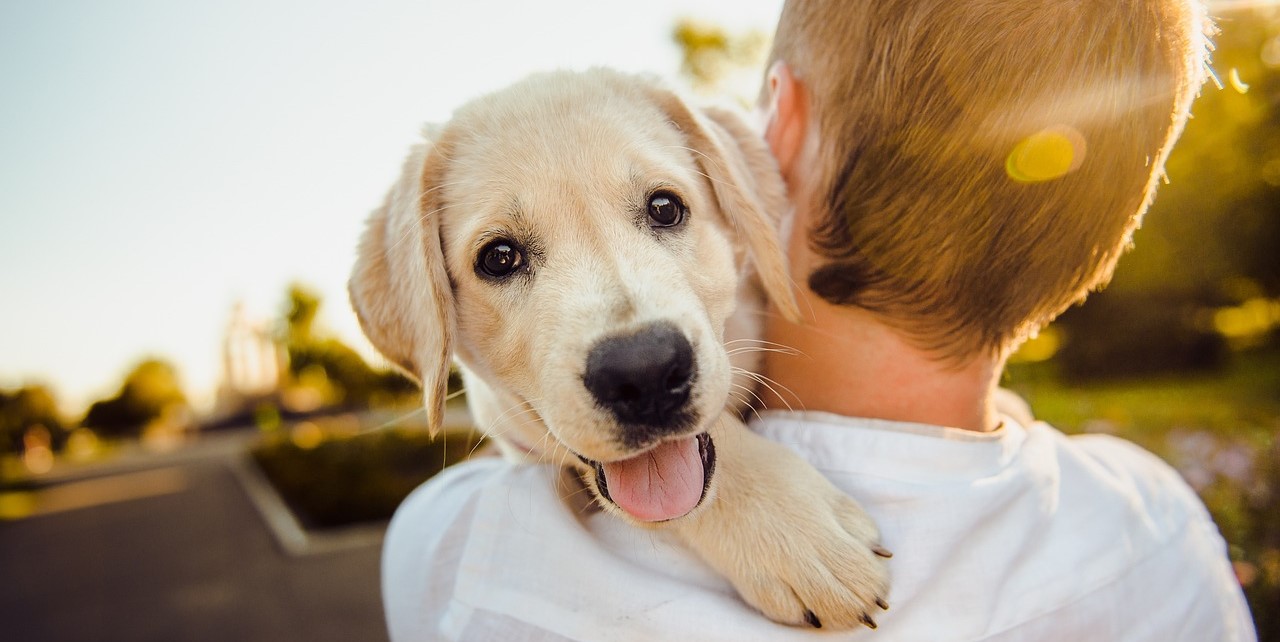 CPT honours man s best friend