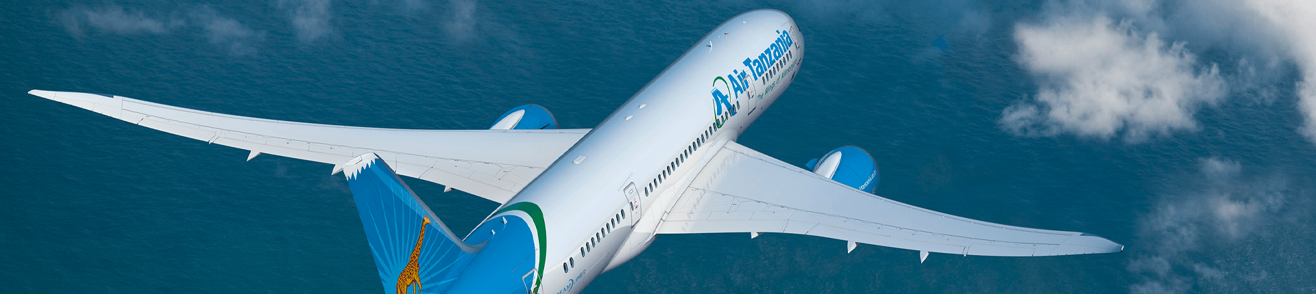 Air Tanzania set to start Joburg flights