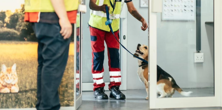 Swissport opens pet lounge at Johannesbu