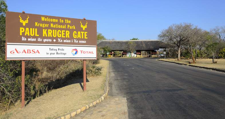 Access restored to key areas in Kruger National Park